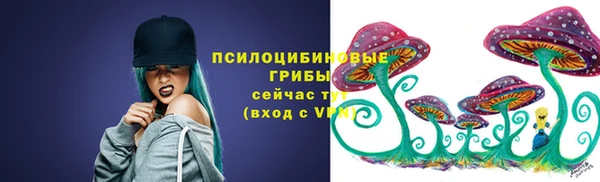 экстази Белокуриха