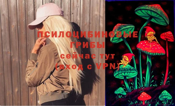 дживик Белоозёрский