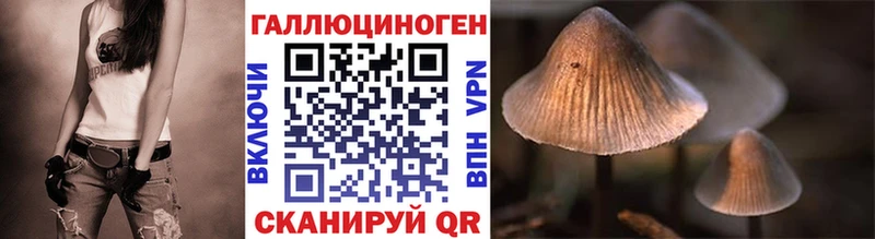 площадка формула  Армавир  Галлюциногенные грибы Cubensis  OMG рабочий сайт 